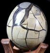 Septarian Dragon Egg Geode - Black Crystals #34710-1
